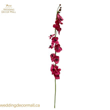 Load image into Gallery viewer, ORCHIDS-LONG-STEM(6pcs)
